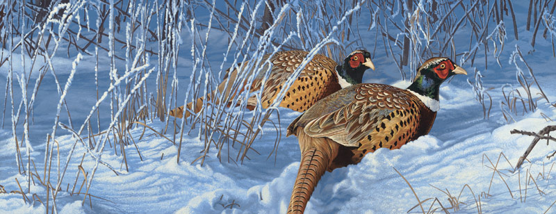 Snow Birds - wildlife painting by Scot Storm