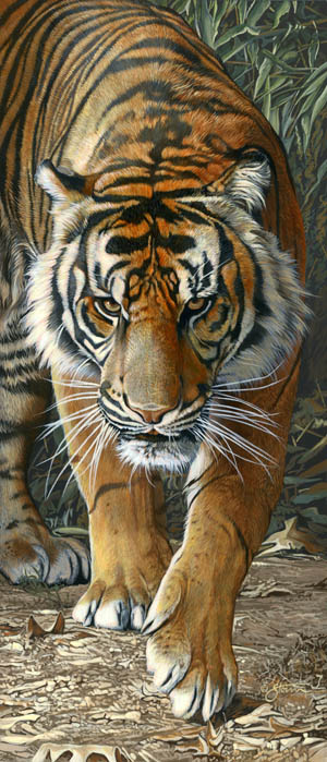 Tiger Walkin - wildlife painting by Scot Storm