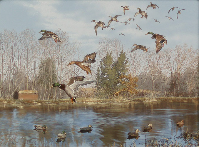Mary's Pond by Scott Storm
