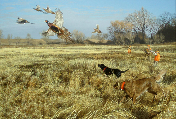 The First Hunt by Scott
Storm