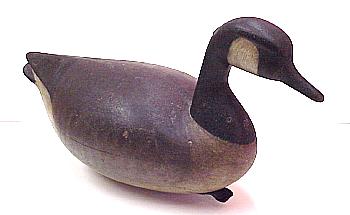 Canada Goose