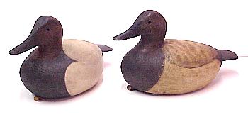 Canvasbacks