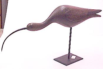Curlew