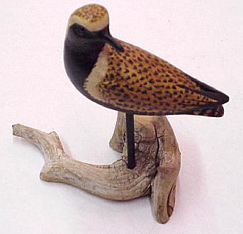 Golden Plover