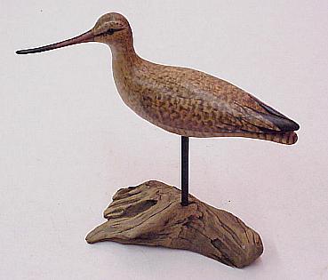 Marbled Godwit