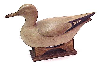 Seagull