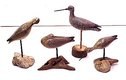 Summer Yellowlegs