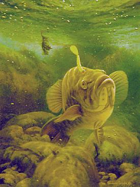 AUTUMN ON SMALLMOUTH STREAM by Larry Tople ~ 030105_023