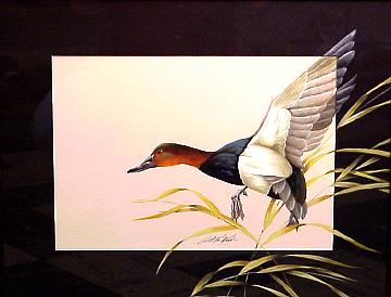CANVASBACK by Art Lamay ~ 031005_063