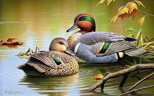 GREENWINGS AND QUIET WATER by Rob Leslie ~ 051002_020