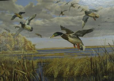 AUTUMN DABBLERS by Scott Storm ~ 070211_016
