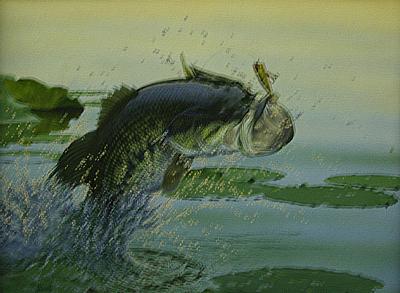 POPPER PAD BASS by Al Agnew ~ 070211_054
