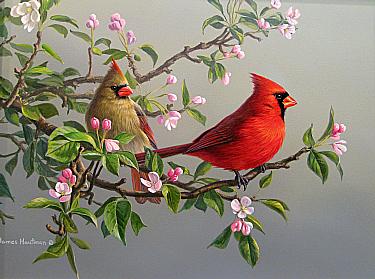 SPRING PAIR by James Hautman ~ 070826_003