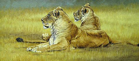 WAITING FOR THE WILDEBEAST by Krystii Melaine ~ 070826_038