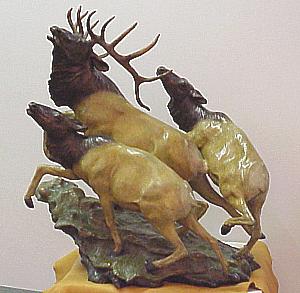 Rocky Mountain Refuge