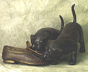 The Gumshoe Pups