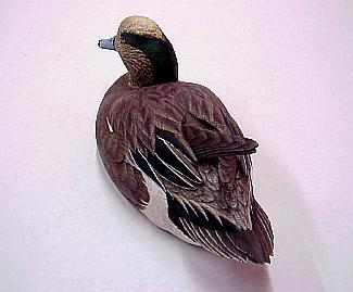 Drake Wigeon - rear view