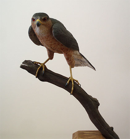 Lifesize Male Sharpshin carving by Al Jordan