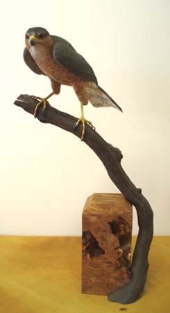 Male Sharpshin carving by Al Jordan