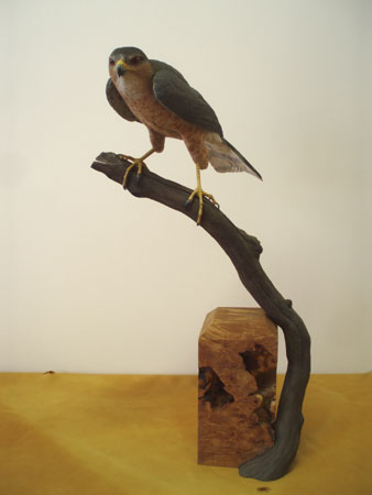 Lifesize Male Sharpshin carving by Al Jordan