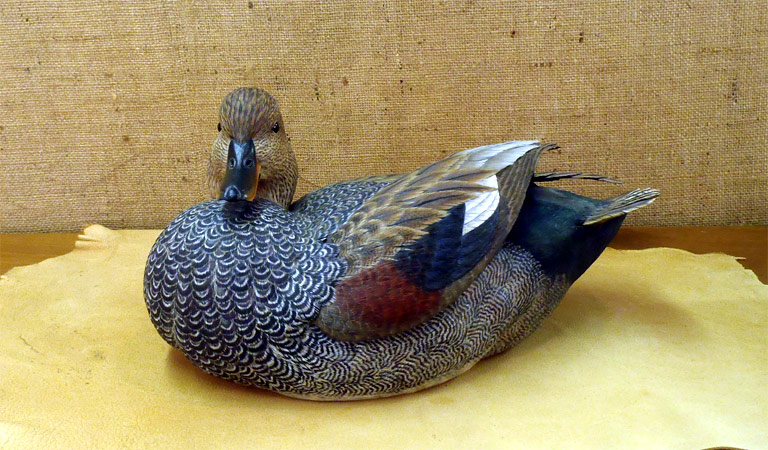 Drake Gadwall - carving by Ben Heinemann