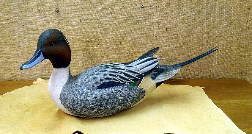 Drake Pintail - carving by Ben Heinemannn