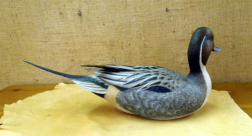 Drake Pintail - carving by Ben Heinemannn