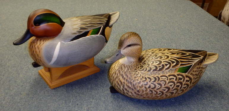 Green Wing Teal by Ben Heinemann