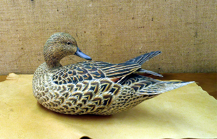 Hen Pintail - carving by Ben Heinemannn