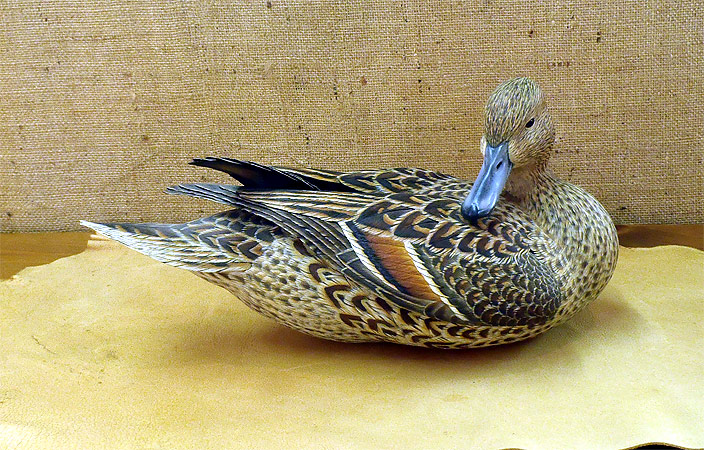 Hen Pintail - carving by Ben Heinemannn
