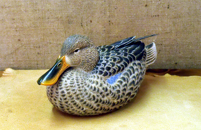 Hen Shovelerl - carving by Ben Heinemann