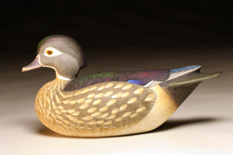 Wood Duck - by Ben Heinemann