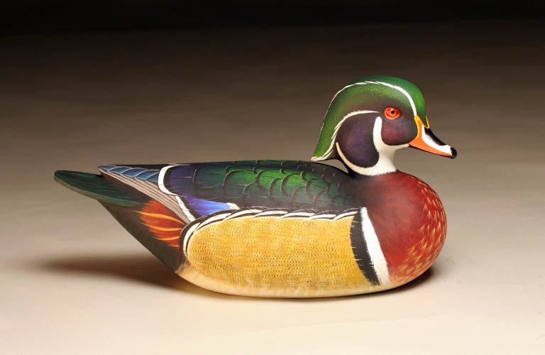 Wood Duck - by Ben Heinemann