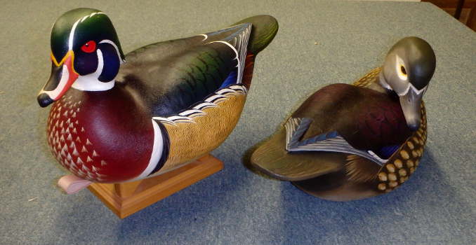 Wood Ducks by Ben Heinemann
