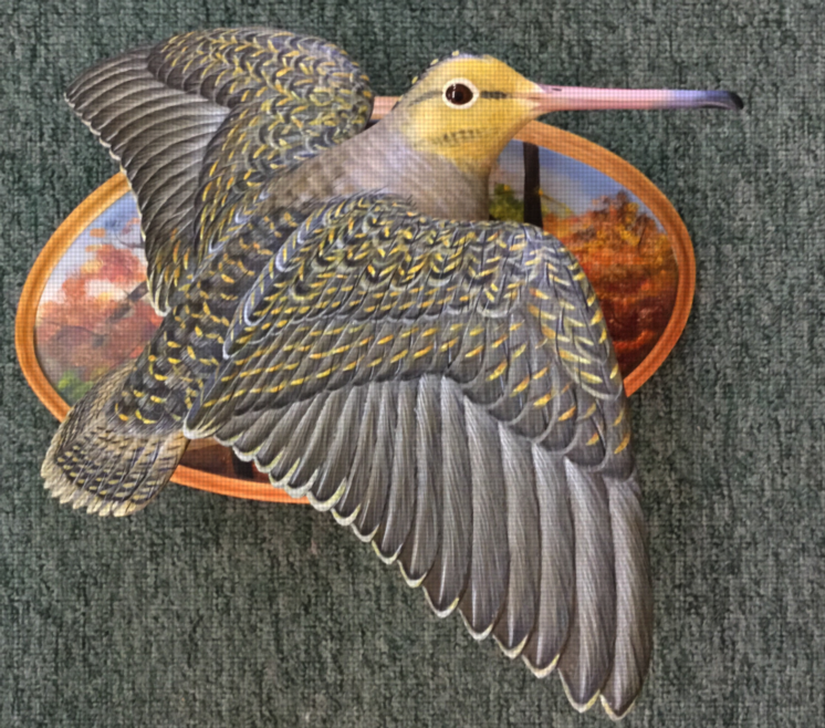 Flying Woodcock- by Ben Heinemann