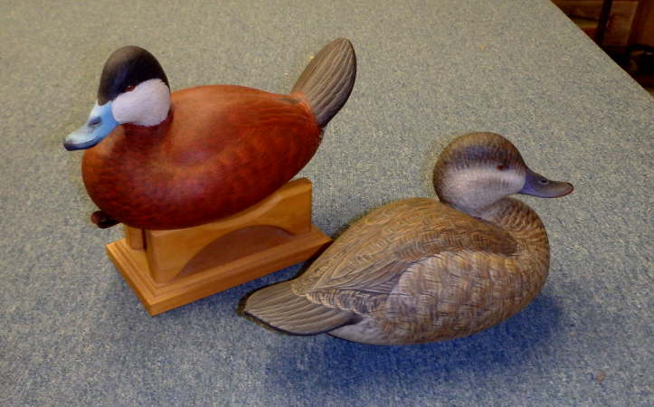 Ruddy Ducks by Ben Heinemann