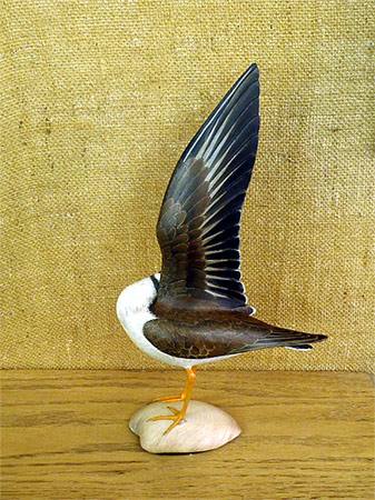 Plover  Lifesize - carved  by Bill Gibian