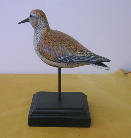 Dunlin - Stick Bird by Bill Gibian