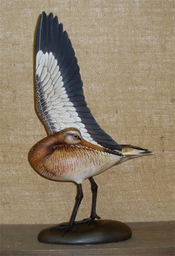 Life Size Black-Tailed Godwitr - carved  by Bill Gibian