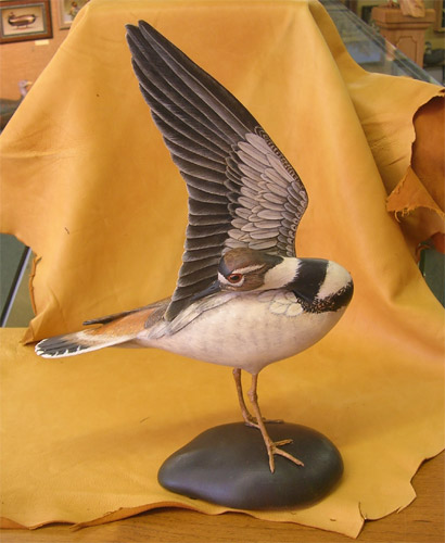 Kildeer - carved  by Bill Gibian