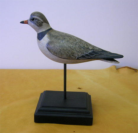 Piping Plover - Stick Bird by Bill Gibian