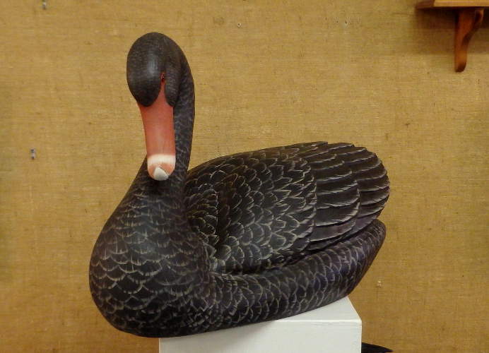 Australian Black Swan by Bob Moreland