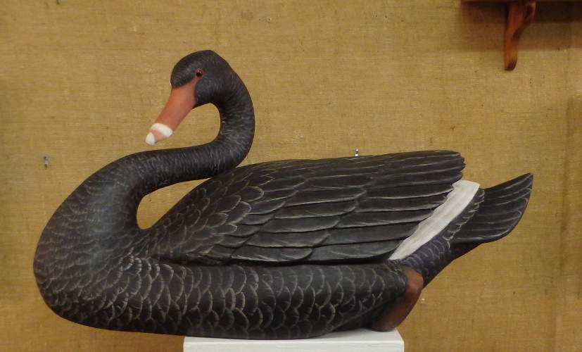 Australian Black Swan by Bob Moreland
