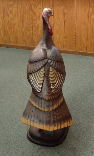 Tom Turkey  by Bob Moreland