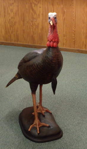 Tom Turkey  by Bob Moreland
