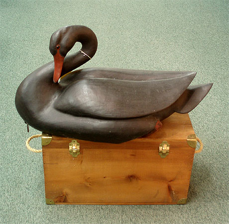 Lifesize Black Swan - by Bob Moreland