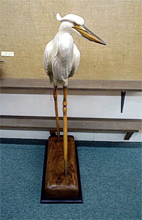 Lifesize Great White Egret - by Bob Moreland