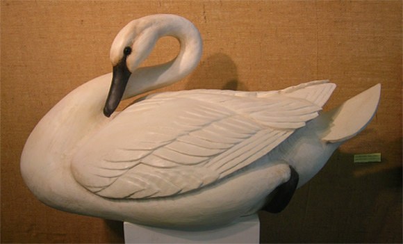 Extra Large Curl Neck Swan with carved feathers by Bob Moreland
