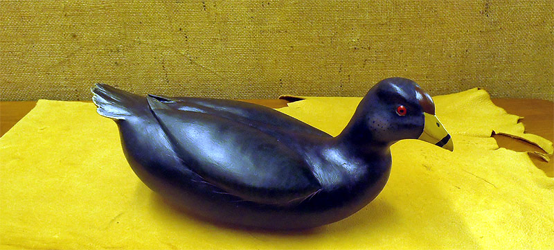Coot - fromt The Collection  -  carved by Bob White