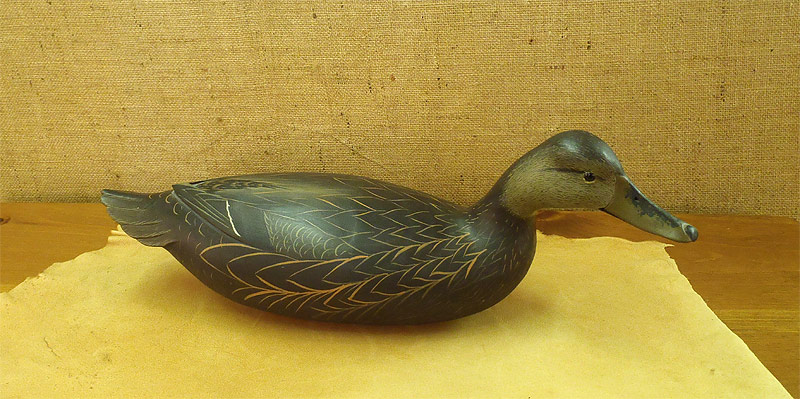 Hen Black Duck by Bob White